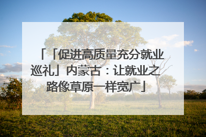 「促进高质量充分就业巡礼」内蒙古：让就业之路像草原一样宽广