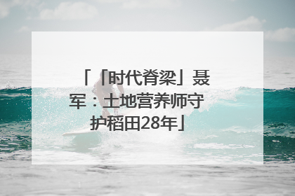 「时代脊梁」聂军：土地营养师守护稻田28年