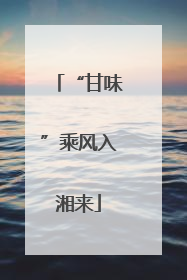 “甘味”乘风入湘来