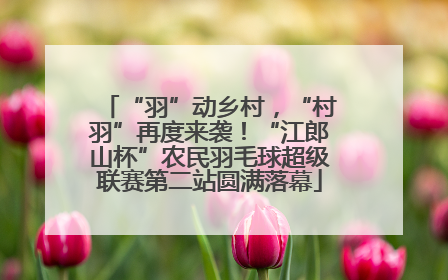 “羽”动乡村，“村羽”再度来袭！“江郎山杯”农民羽毛球超级联赛第二站圆满落幕