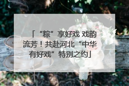 “粽”享好戏 戏韵流芳！共赴河北“中华有好戏”特别之约
