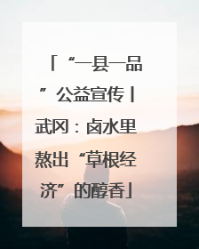 “一县一品”公益宣传丨武冈：卤水里熬出“草根经济”的醇香