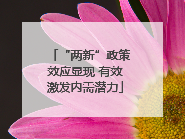 “两新”政策效应显现 有效激发内需潜力