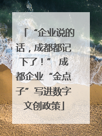 “企业说的话，成都都记下了！” 成都企业“金点子”写进数字文创政策