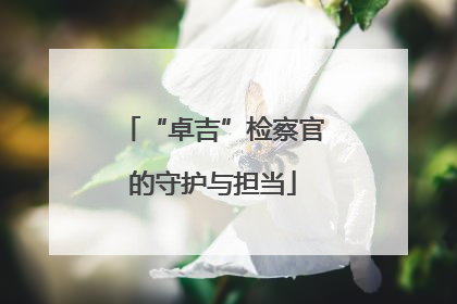 “卓吉”检察官的守护与担当