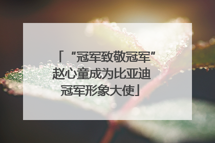 “冠军致敬冠军” 赵心童成为比亚迪冠军形象大使