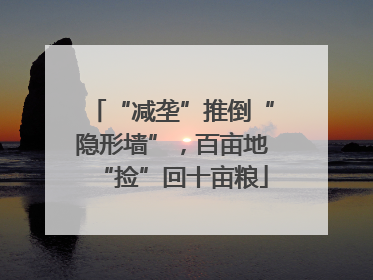 “减垄”推倒“隐形墙”，百亩地“捡”回十亩粮