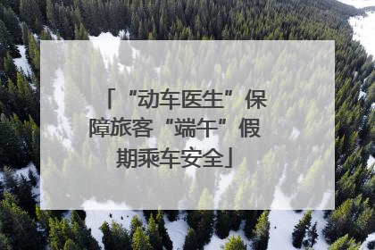 “动车医生”保障旅客“端午”假期乘车安全