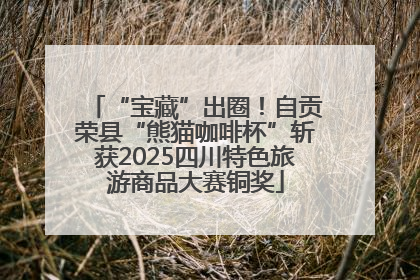 “宝藏”出圈！自贡荣县“熊猫咖啡杯”斩获2025四川特色旅游商品大赛铜奖