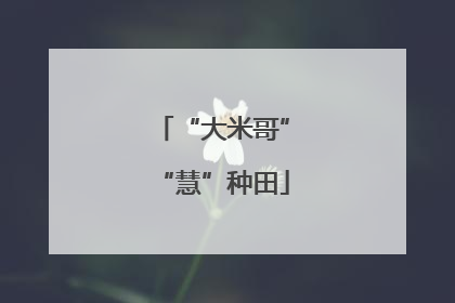 “大米哥”“慧”种田