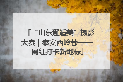 “山东邂逅美”摄影大赛｜泰安西岭巷——网红打卡新地标
