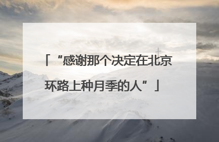 “感谢那个决定在北京环路上种月季的人”