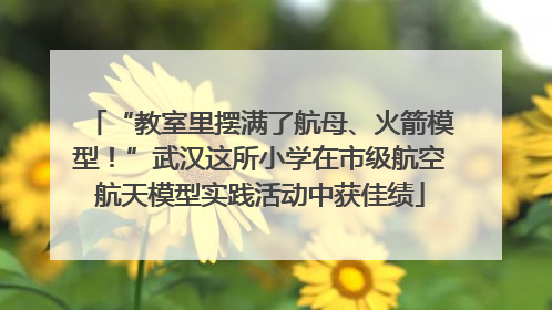 “教室里摆满了航母、火箭模型！”武汉这所小学在市级航空航天模型实践活动中获佳绩
