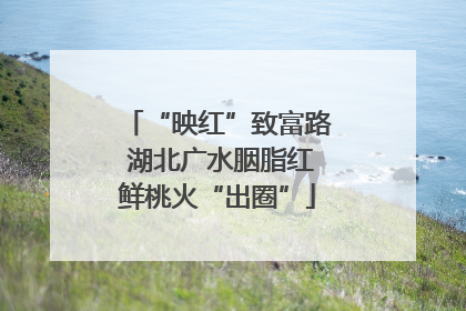 “映红”致富路 湖北广水胭脂红鲜桃火“出圈”