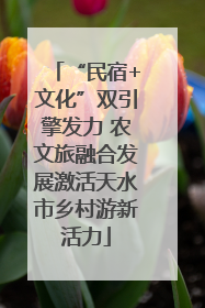 “民宿+文化”双引擎发力 农文旅融合发展激活天水市乡村游新活力