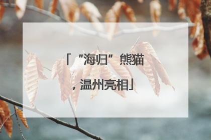 “海归”熊猫，温州亮相