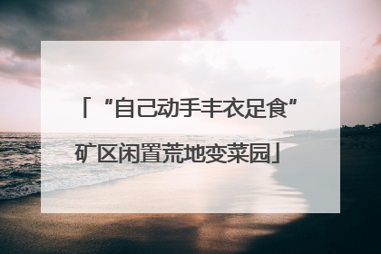 “自己动手丰衣足食”矿区闲置荒地变菜园
