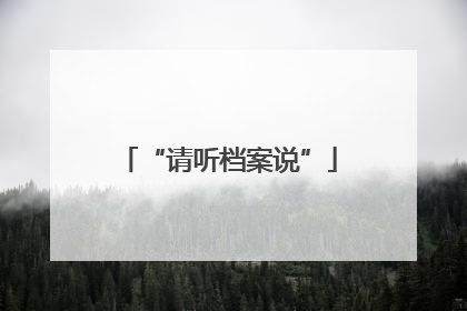 “请听档案说”