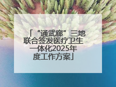 “通武廊”三地联合签发医疗卫生一体化2025年度工作方案