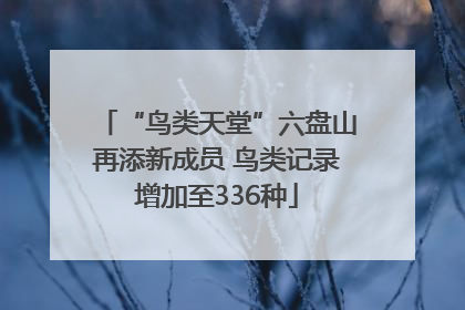 “鸟类天堂”六盘山再添新成员 鸟类记录增加至336种