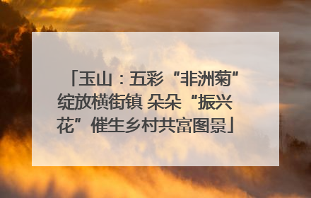 玉山：五彩“非洲菊”绽放横街镇 朵朵“振兴花”催生乡村共富图景