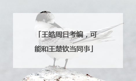 王皓周日考编，可能和王楚钦当同事