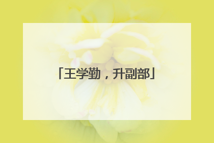 王学勤，升副部