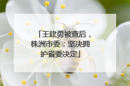 王建勇被查后，株洲市委：坚决拥护省委决定