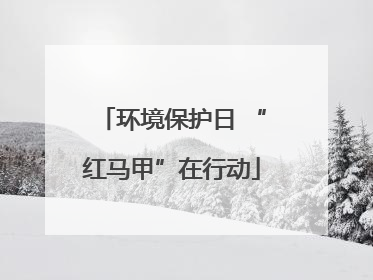 环境保护日 “红马甲”在行动
