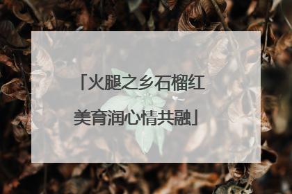 火腿之乡石榴红 美育润心情共融