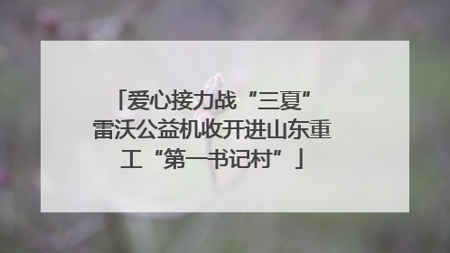 爱心接力战“三夏” 雷沃公益机收开进山东重工“第一书记村”