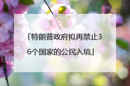 特朗普政府拟再禁止36个国家的公民入境