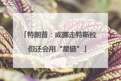 特朗普：或挪走特斯拉 但还会用“星链”