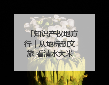 知识产权地方行｜从地标到文旅 看清水大米的破次元生长