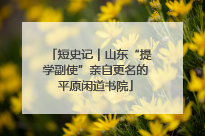 短史记｜山东“提学副使”亲自更名的平原闲道书院