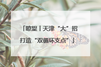 瞭望丨天津“大”招打造“双循环支点”
