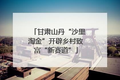 甘肃山丹“沙里淘金”开辟乡村致富“新赛道”
