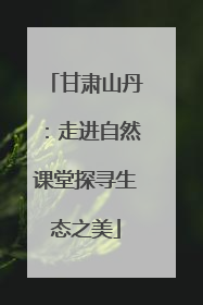 甘肃山丹：走进自然课堂探寻生态之美