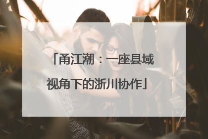 甬江潮：一座县域视角下的浙川协作