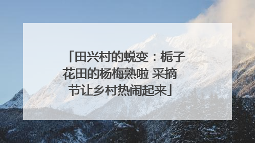 田兴村的蜕变：栀子花田的杨梅熟啦 采摘节让乡村热闹起来
