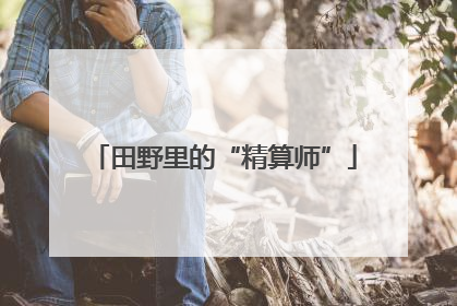 田野里的“精算师”