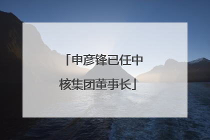 申彦锋已任中核集团董事长