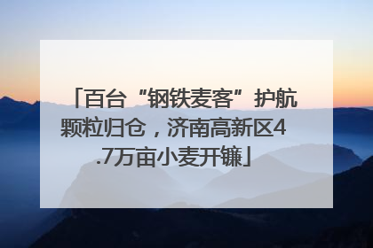 百台“钢铁麦客”护航颗粒归仓，济南高新区4.7万亩小麦开镰