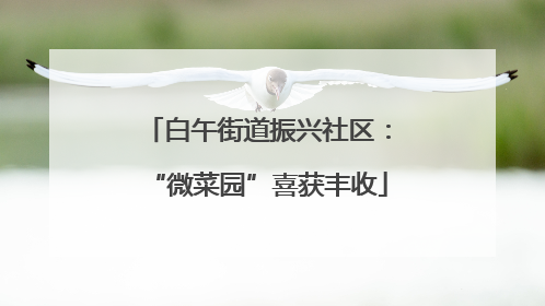 白午街道振兴社区：“微菜园”喜获丰收