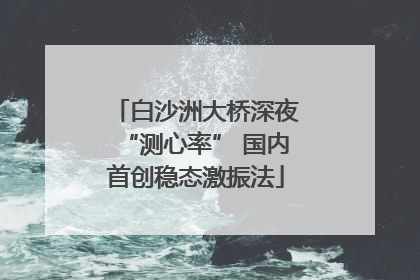 白沙洲大桥深夜“测心率” 国内首创稳态激振法