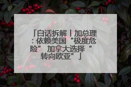 白话拆解丨加总理：依赖美国“极度危险” 加拿大选择“转向欧亚”