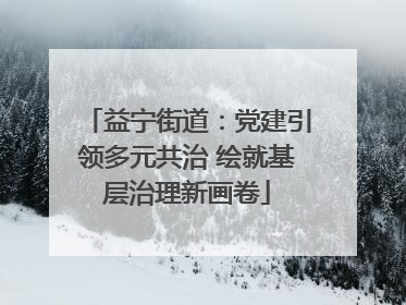 益宁街道：党建引领多元共治 绘就基层治理新画卷