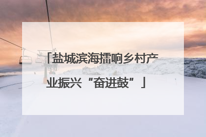 盐城滨海擂响乡村产业振兴“奋进鼓”