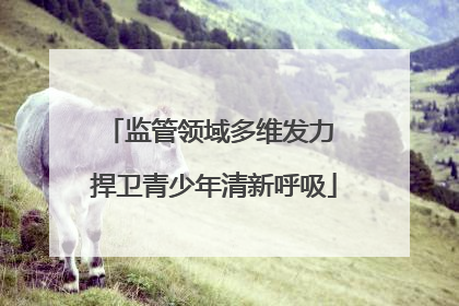 监管领域多维发力 捍卫青少年清新呼吸