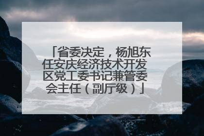 省委决定，杨旭东任安庆经济技术开发区党工委书记兼管委会主任（副厅级）